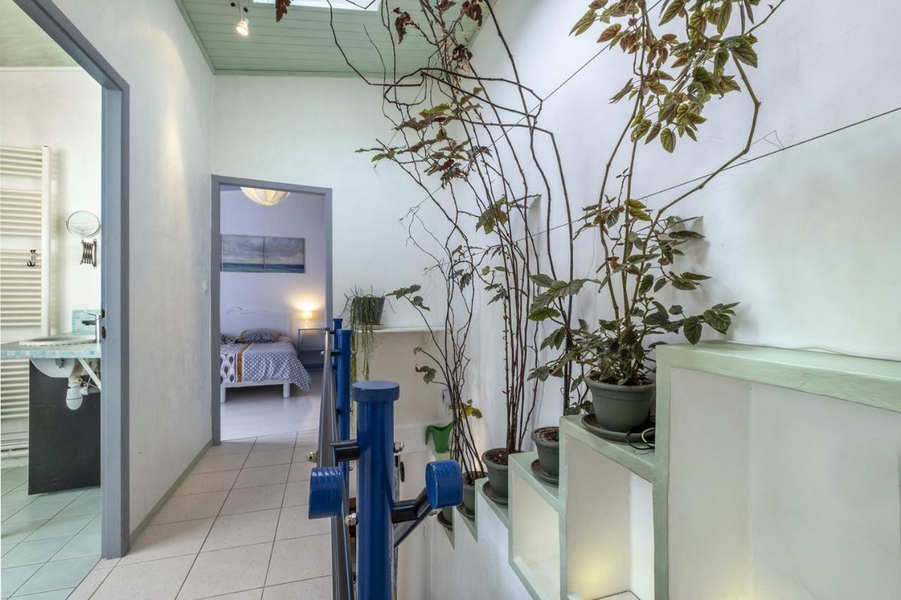 Les Volets Bleus T3 De 80 M2 Patio Privatif Lägenhet Rochefort  Exteriör bild